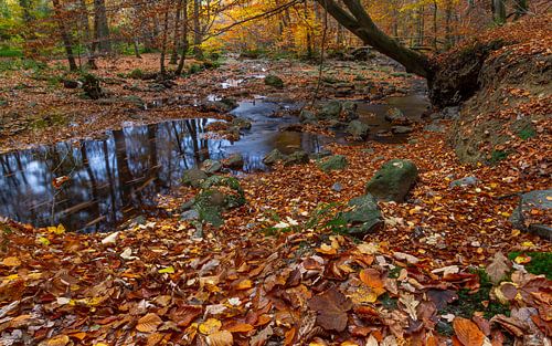 Herbst in den belgischen Ardennen