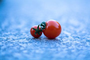 tomaatjes van peter lissens