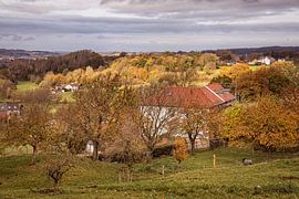 Dateien von Rob Boon