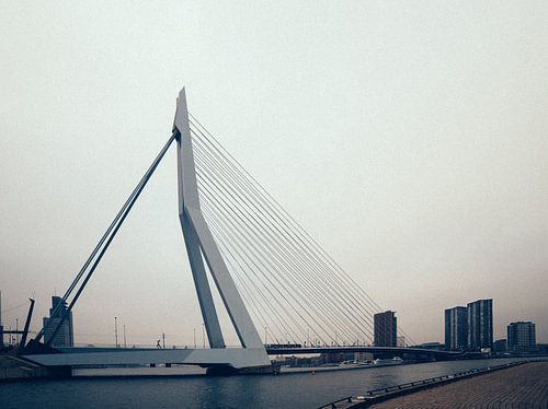 De Erasmusbrug