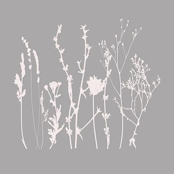 Moderne Botanische Kunst. Bloemen, planten, kruiden en grassen in grijs en wit nr. 2 van Dina Dankers