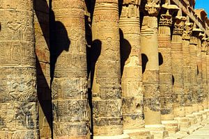 Säulen am Philae Tempel in Assuan Ägypten von Dieter Walther