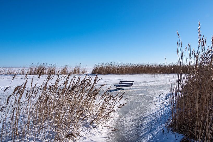 Bodden bei Ahrenshoop auf dem Fischland-Darß im Winter von Rico Ködder