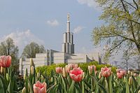 The Hague, Netherlands temple