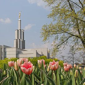 La Haye, Pays-Bas temple sur M Aarts