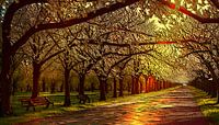 The Golden Park by TrishaVDesigns thumbnail