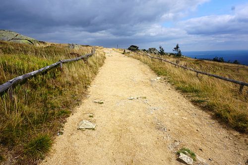 Wandelpad op de Brocken