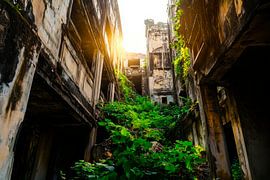 Dilapidated ruin with vegetation by Poster Art Shop