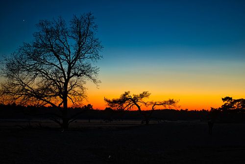 Nationaal Park De Loonse en Drunense Duinen