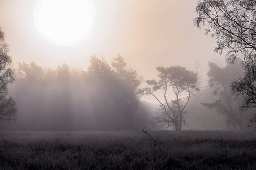 es regnet Sonnenstrahlen