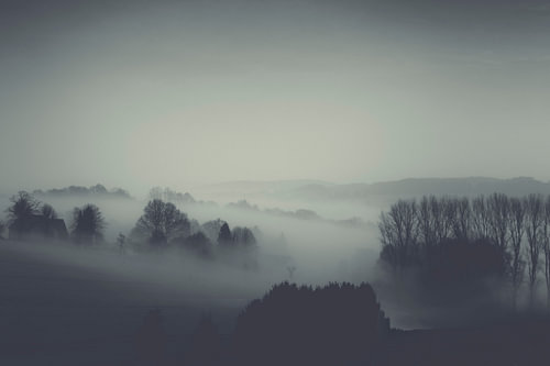 Ländliche Landschaft in dichtem Nebel