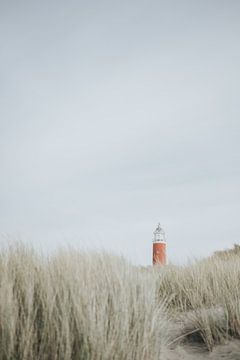 Leuchtturm auf Texel von Alieke Eising