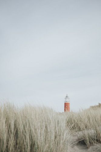 Leuchtturm auf Texel