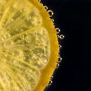 Tranche de citron dans de l'eau avec des bulles par Erna Böhre Aperçu