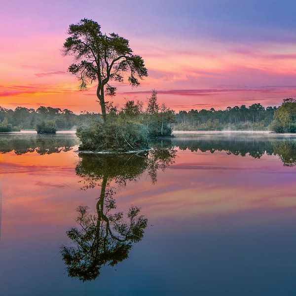 Red and turquoise sunrise reflected in a lake_1 by Tony Vingerhoets