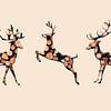 Deer Trio 1 by Catherine Fortin