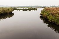 Pool with island at Twiske