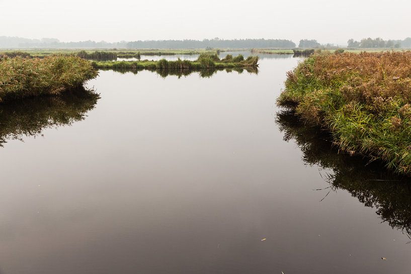 Pool with island at Twiske by Jaap Mulder