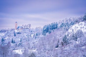 Fox tower in Jena in winter