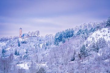 Vossen toren in Jena in de winter van Marcus Beckert