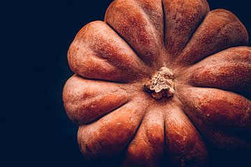 Calm and form by Sabine Schemken