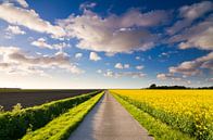 Road to the Wadden Sea by robert wierenga thumbnail