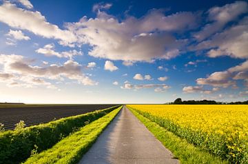 Road to the Wadden Sea by robert wierenga