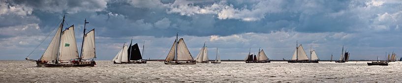 Segelschiffe der Braunen Flotte von Frans Lemmens
