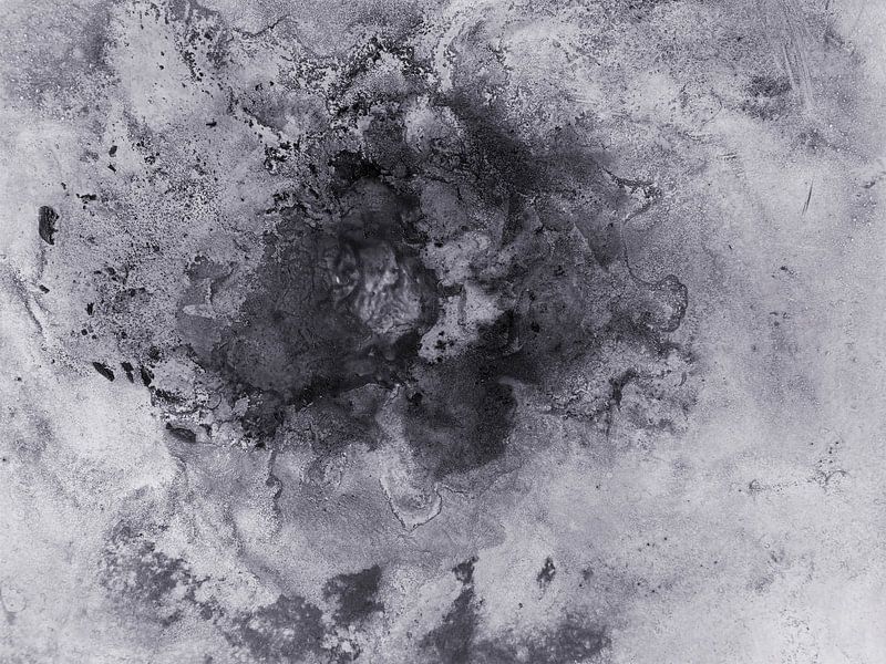 Abstract rose in gray by KW Malerei