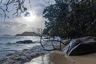 Seychelles by Dennis Eckert thumbnail