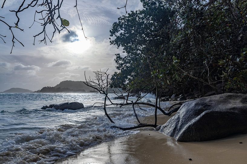 Seychelles by Dennis Eckert