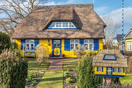 Historisches Reetdachhaus in Born am Darß