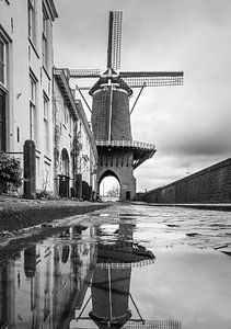 Molen Rijn en Lek - Wijk bij Duurstede von Michel de Nijs Bik