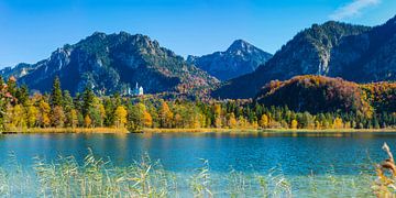 Schwansee en kasteel Neuschwanstein op een zonnige oktoberdag van Walter G. Allgöwer