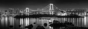 Markante Rainbow Bridge mit Tokio Skyline am Abend | Panorama monochrom