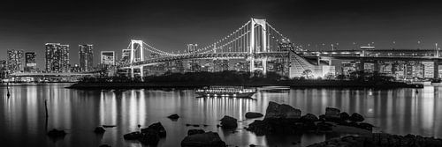 Opvallende Regenboogbrug met skyline van Tokio in de avond | Panorama monochroom