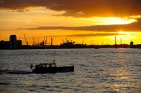 Waalhaven in Rotterdam at sunset