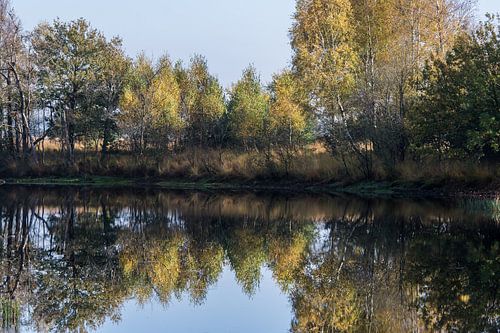Herfst weerspiegeling