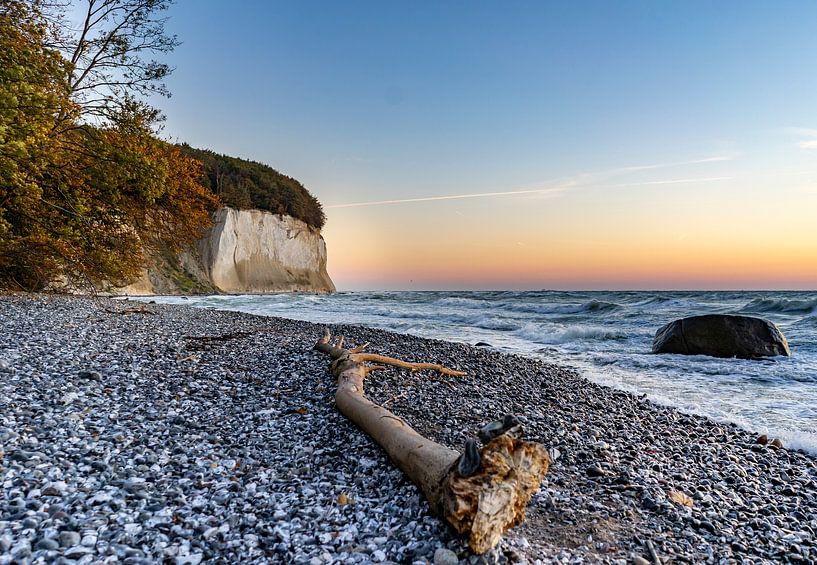 Piratenschlucht Kreidefelsen Sassnitz auf der Insel Rügen in Deutschland von Animaflora PicsStock
