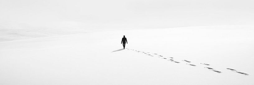 Lonely steps in the snow by Poster Art Shop
