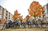 Fahrradschuppen mit Herbstfarben, Buitenveldert, Amsterdam Süd von Paul van Putten Miniaturansicht
