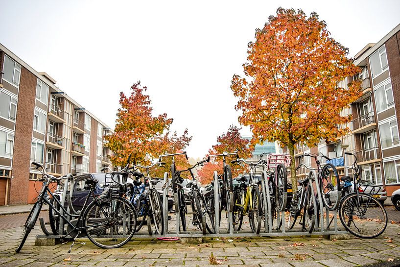 Fahrradschuppen mit Herbstfarben, Buitenveldert, Amsterdam Süd von Paul van Putten