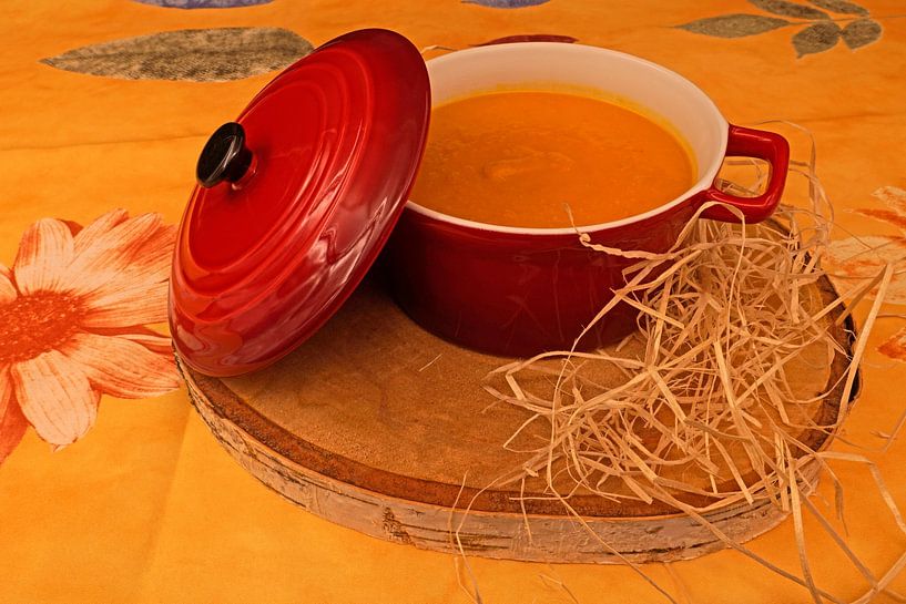 Kürbiscremesuppe mit Curry und Kokosmilch, serviert in einer Suppentasse von Babetts Bildergalerie