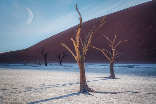 Die trennende Schattenlinie von Loris Photography