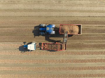 Tractors die uien oogsten op een veld van bovenaf gezien van Sjoerd van der Wal