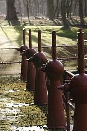 Amsterdamse waterleiding duinen  by Ad Hage