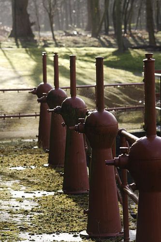 Amsterdamse waterleiding duinen 