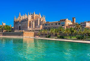 Palma de Mallorca mit der Kathedrale La Seu und dem Parc de la Mar von Alex Winter
