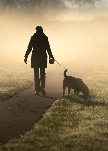 Wandelen met de hond in de mist