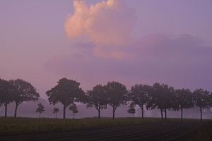 Hooghalen, Eikenbomen tijdens zonsondergang van Fred van Schaagen